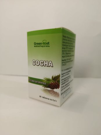 «Сосна – лісова вітамінка» (Pinus sylvestris)