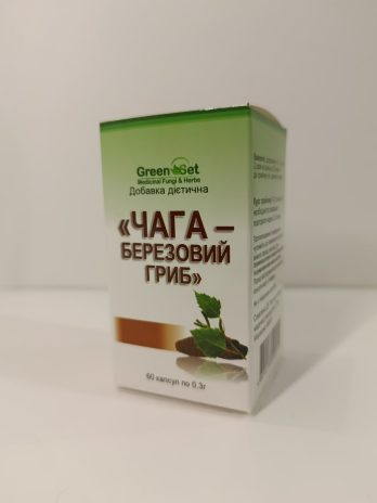 «Чага – березовий гриб» (Inonotus obliquus)
