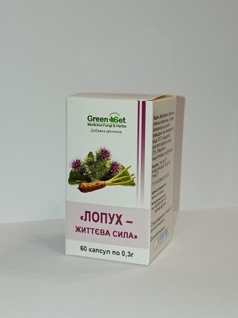 «Лопух – життєва сила» (Arctium lappa)